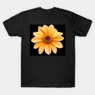 Single Orange Flowering Dahlia - Large Flower T-Shirt